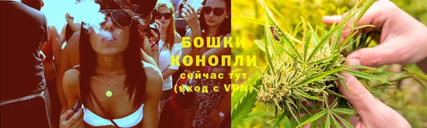 spice Абаза